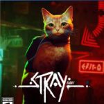Stray